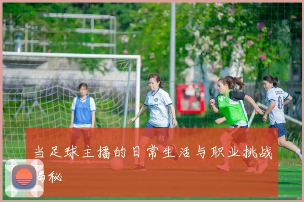 当足球主播的日常生活与职业挑战揭秘