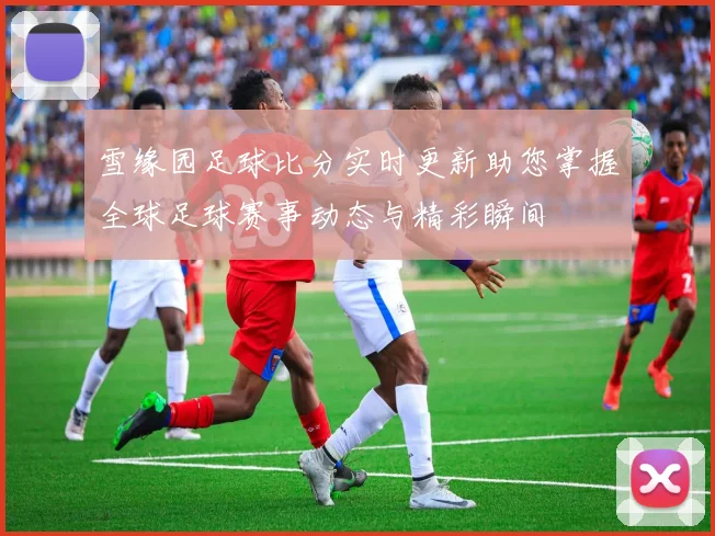 雪缘园足球比分实时更新助您掌握全球足球赛事动态与精彩瞬间