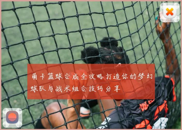 萌卡篮球合成全攻略打造你的梦幻球队与战术组合技巧分享