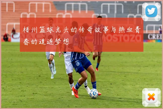 梧州篮球光头的传奇故事与热血青春的追逐梦想