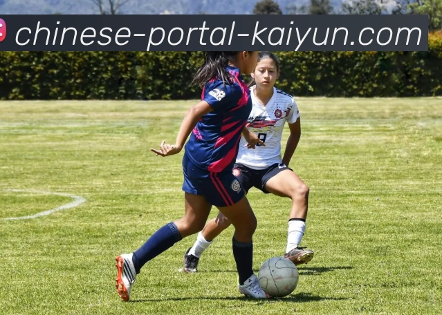 开云体育官网平台生态图